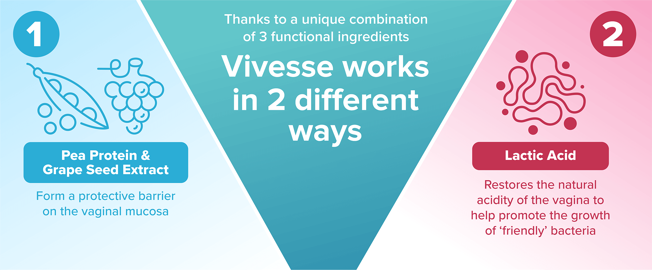 Thanks to a unique combination of 3 functional ingredients, Vivesse works in 2 different ways.